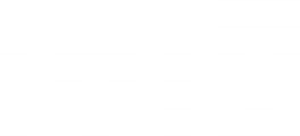 page logo